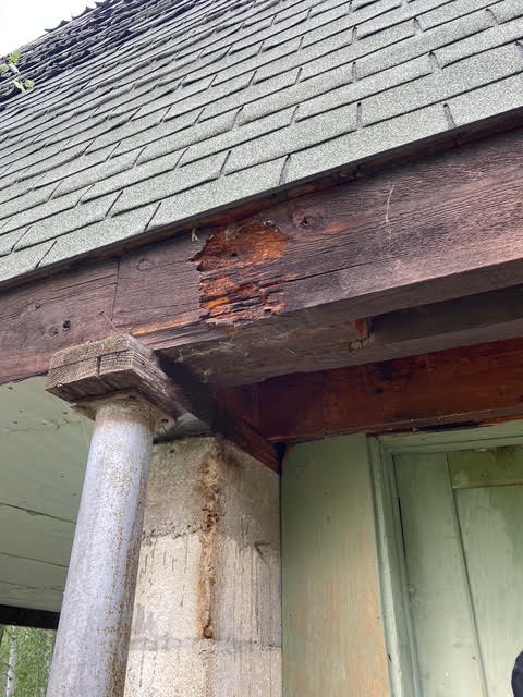 Dry rot and peeling paint on the cabin's exterior siding