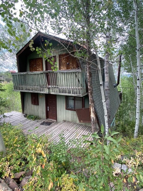 The cabin's exterior before renovation, with loose shutters and overgrowth