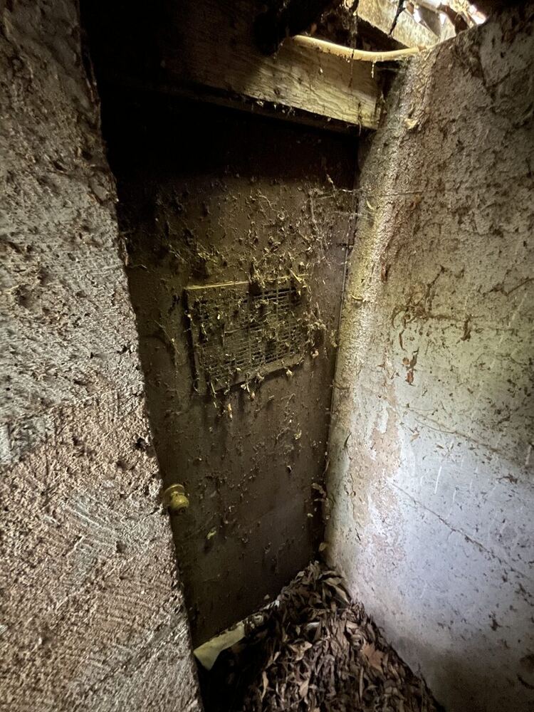 A dusty, cobwebbed cellar door and stone foundation walls