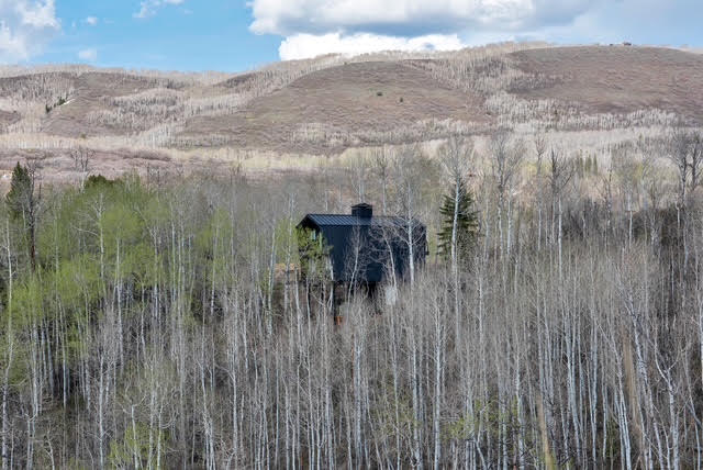 The finished cabin seen from the switchback road coming in, surrounded by aspens